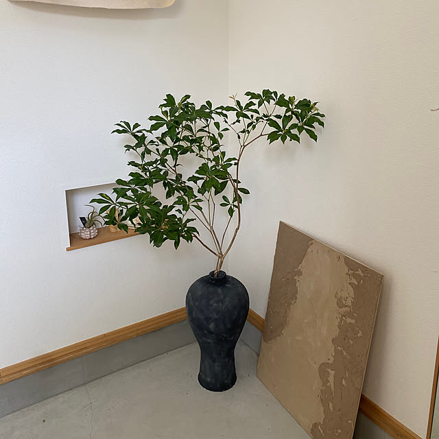 nikoさんの実例写真