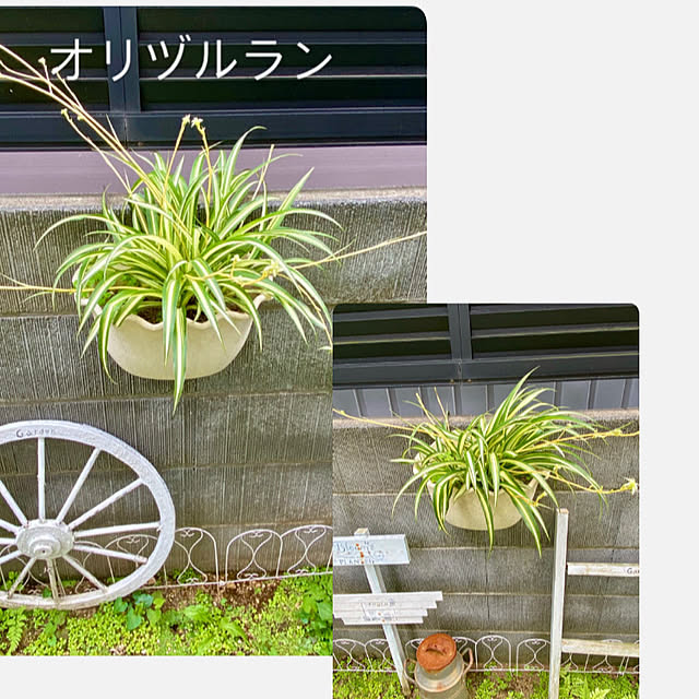 YuuKoさんの実例写真