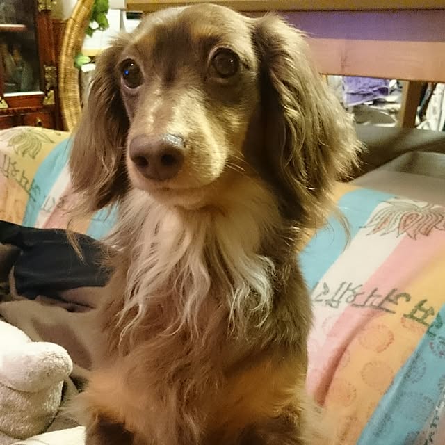 aya66さんの実例写真