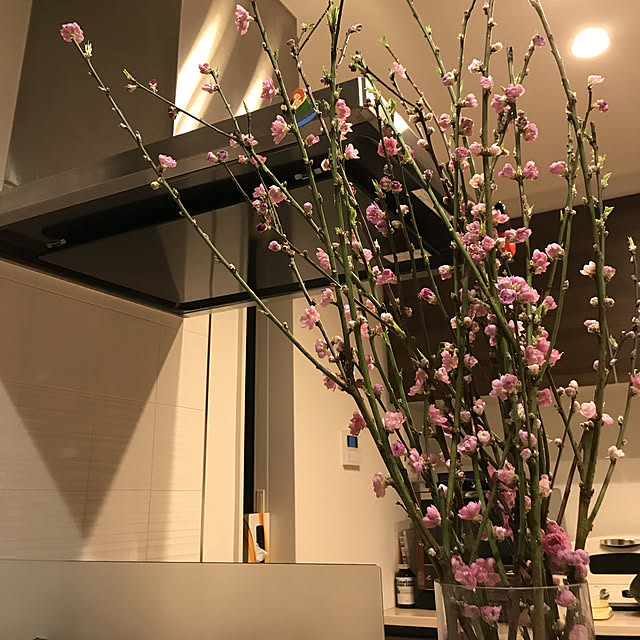 blackteaさんの実例写真