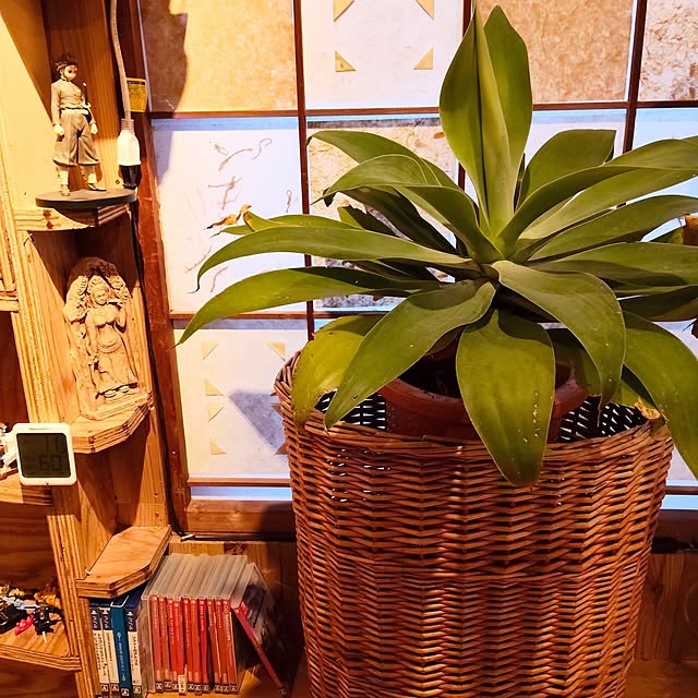 peace1248さんの実例写真