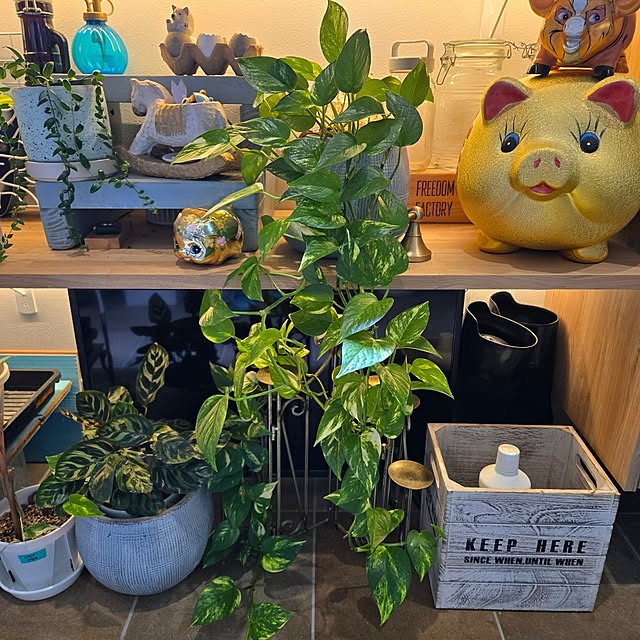 nonbiri_house_さんの部屋