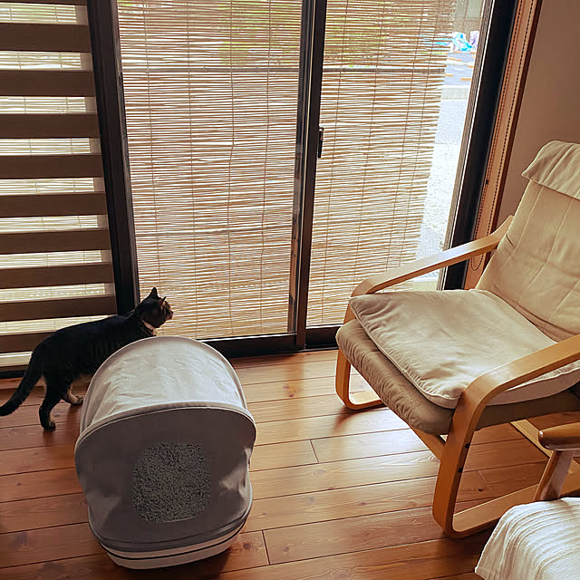 maruさんの実例写真