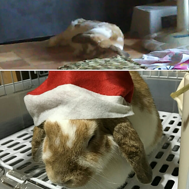 usamamaさんの実例写真