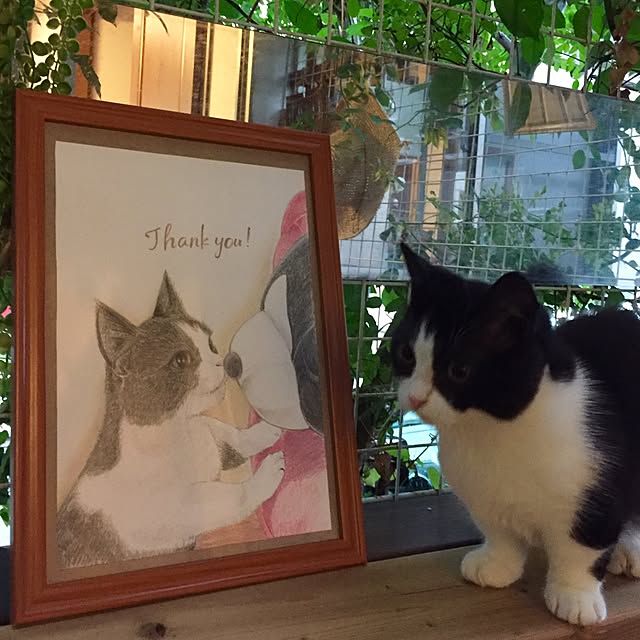 butachanさんの実例写真