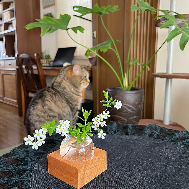 kuuさんの実例写真