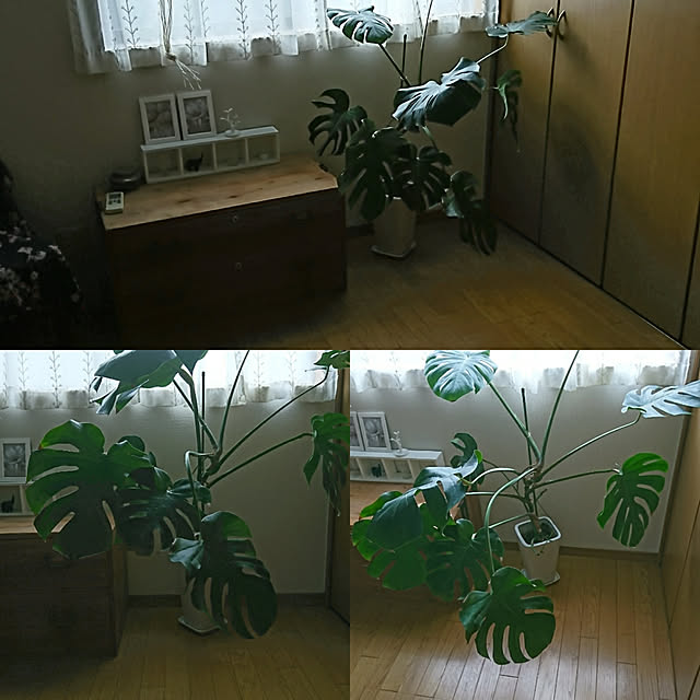 Matsu62さんの実例写真