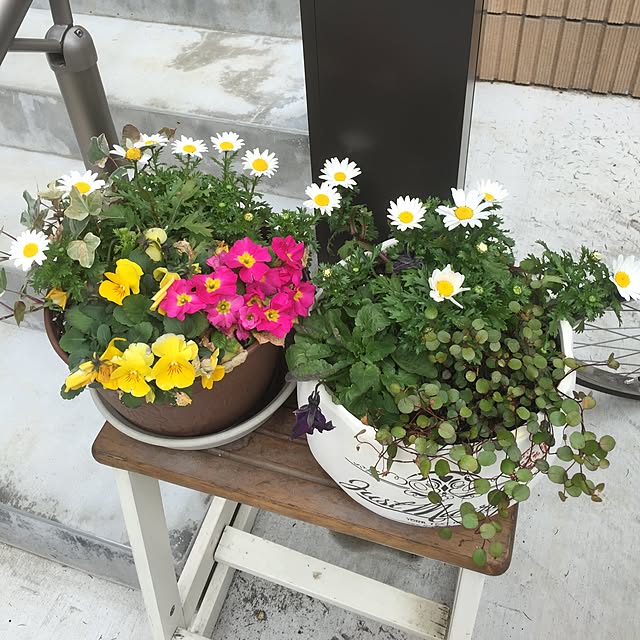 pikarunさんの実例写真
