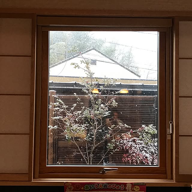 risaneko0126さんの実例写真