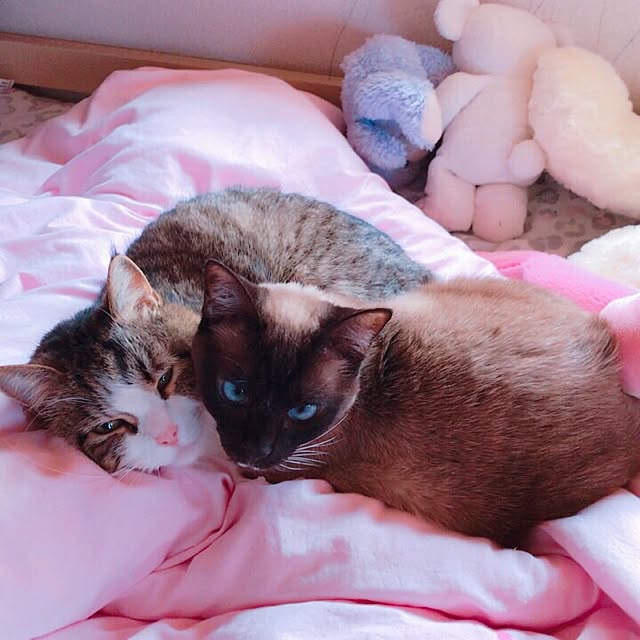 keiko-sawakaさんの実例写真