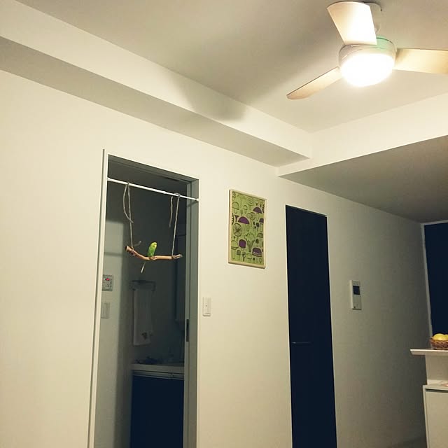 m-kinocoさんの実例写真