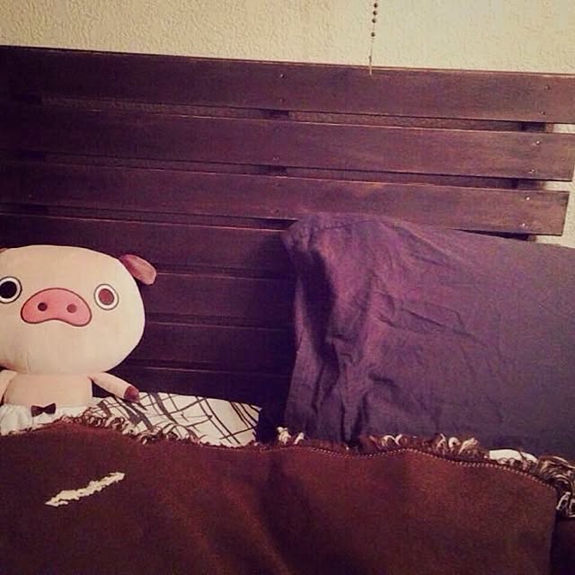 Elleyさんの実例写真