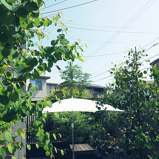 enjoyさんの実例写真