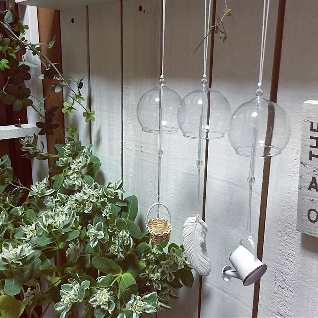 RURULOVEさんの実例写真