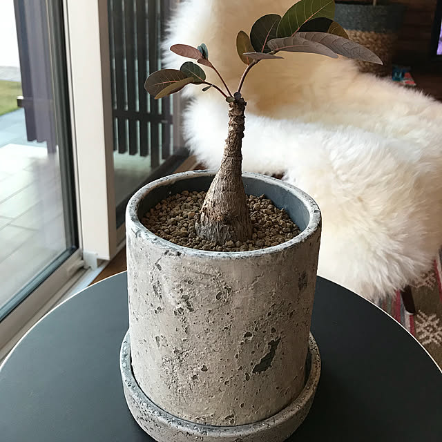 Masatoさんの実例写真