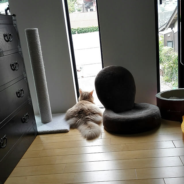 1ldksさんの実例写真
