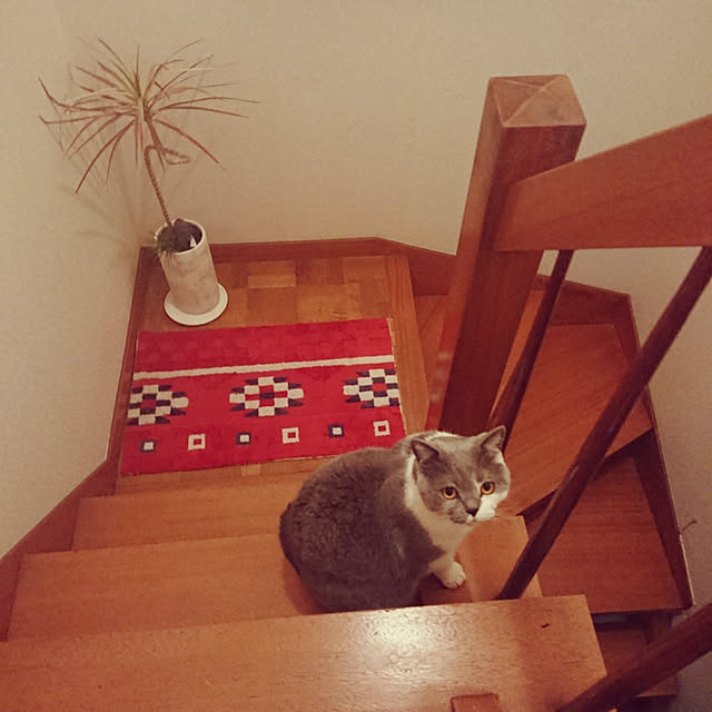 rhuさんの実例写真