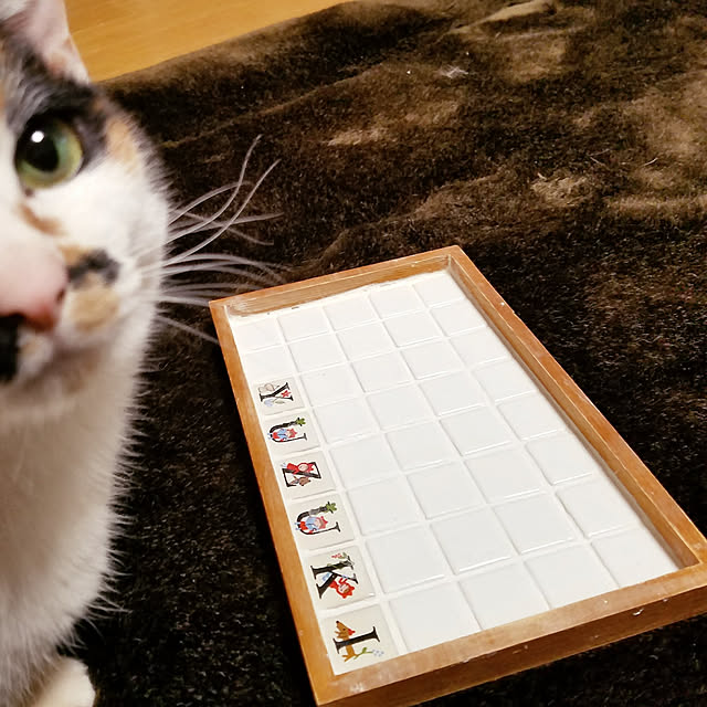 Kinanさんの実例写真