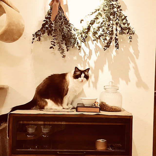 yukimikeさんの実例写真