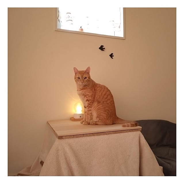mayutan.さんの部屋