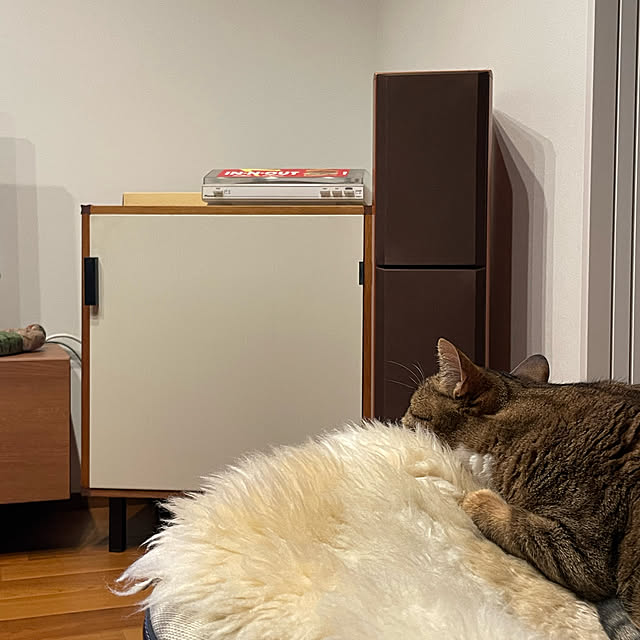 maruさんの実例写真