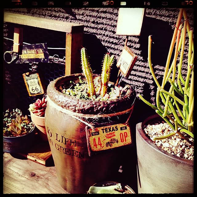 Rans_andy.さんの実例写真