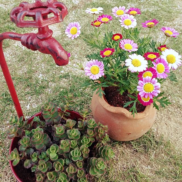 Atsu.さんの実例写真