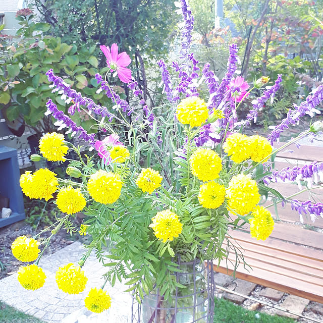 min_nimさんの実例写真