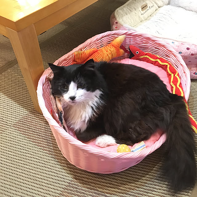 kanaさんの実例写真