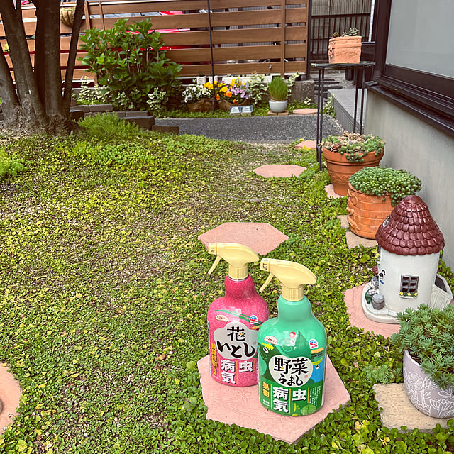 haruminさんの部屋