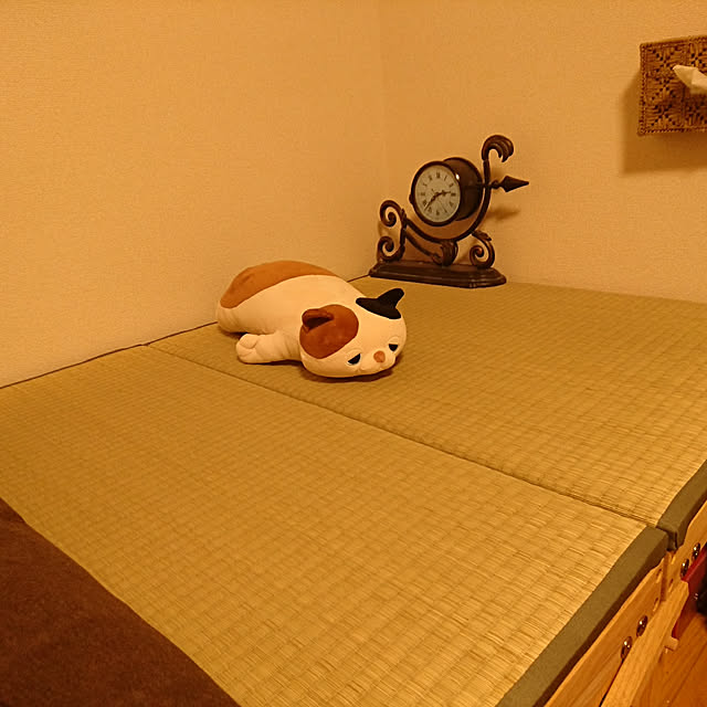 escargotさんの実例写真