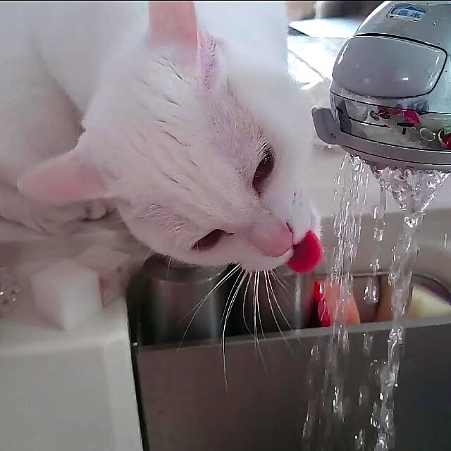 kikinanaさんの実例写真
