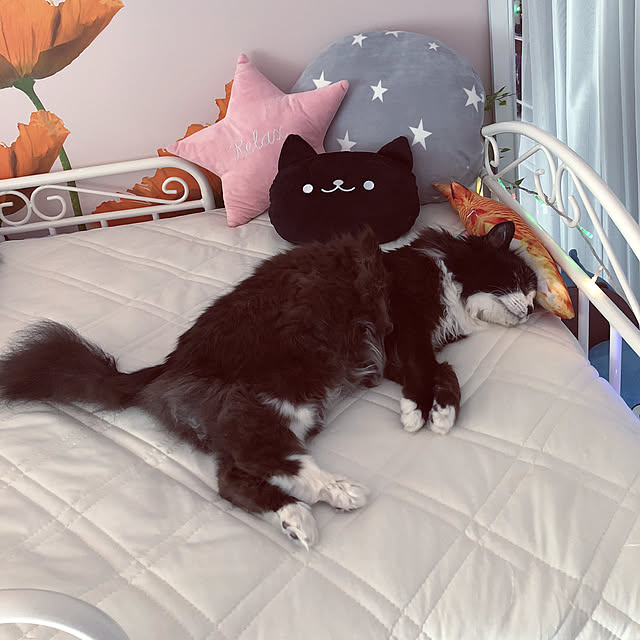 kanaさんの実例写真