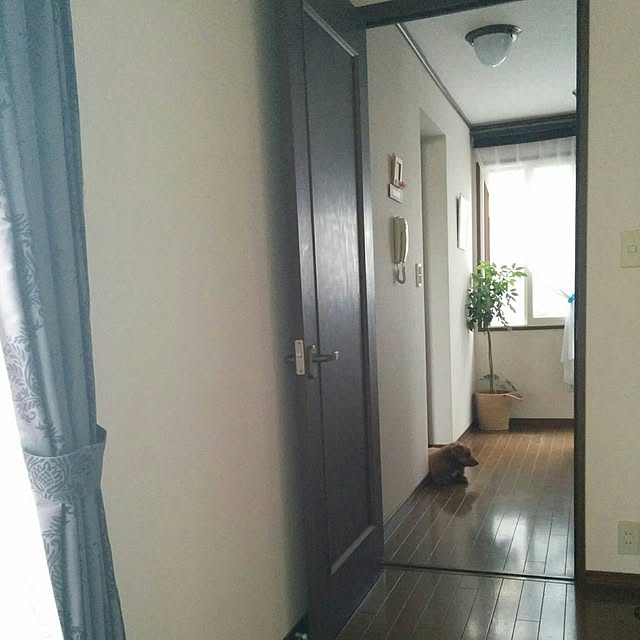 satoさんの実例写真