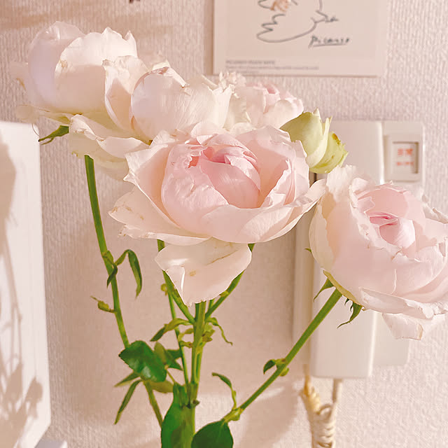 smallroomさんの実例写真