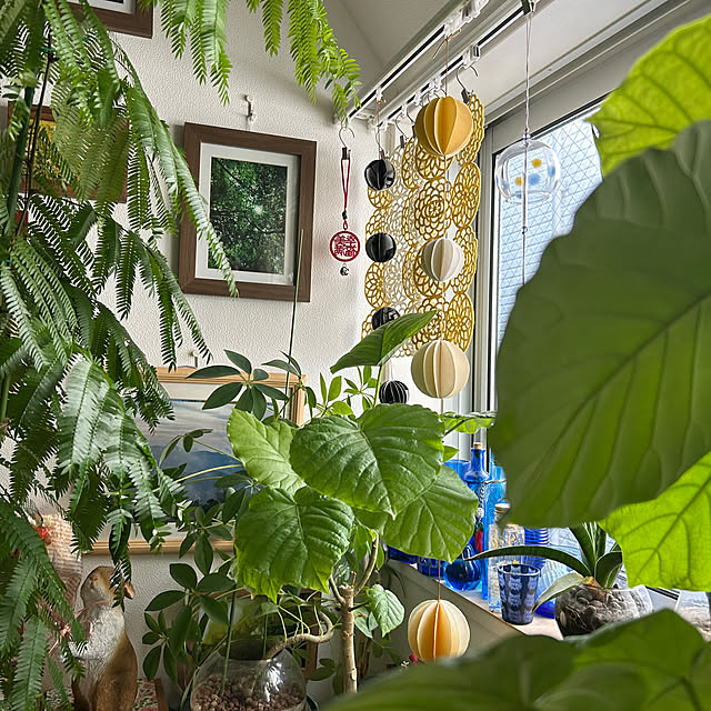 mochaさんの部屋