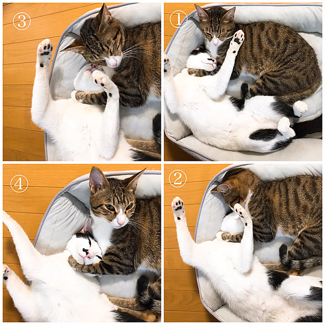 nobikoさんの実例写真