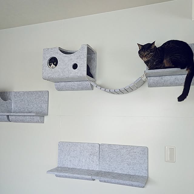 hihaさんの部屋