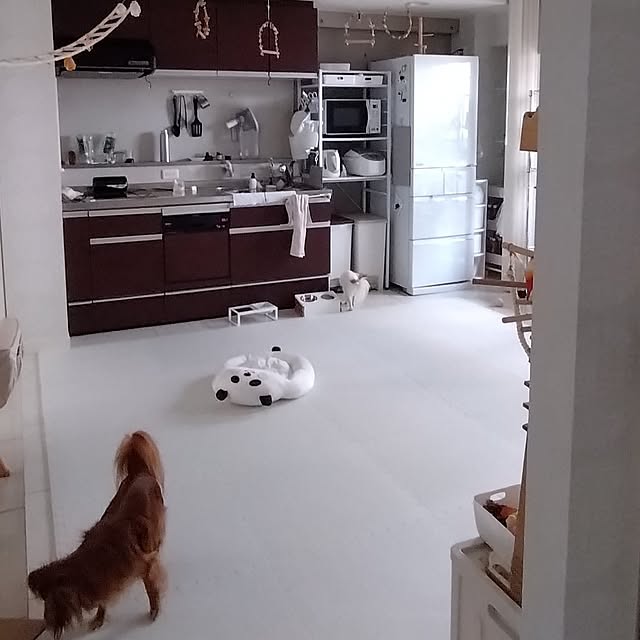 toratanさんの部屋