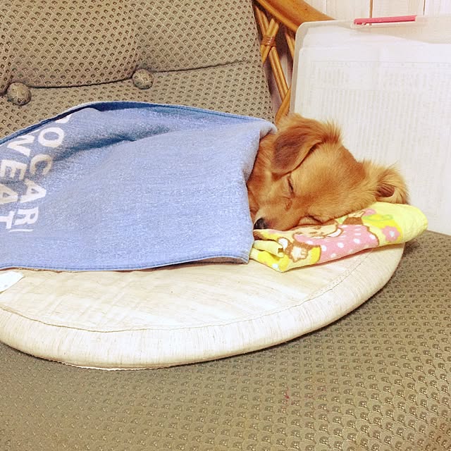 saichanさんの実例写真