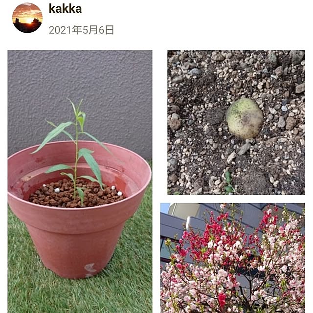 kakkaさんの部屋
