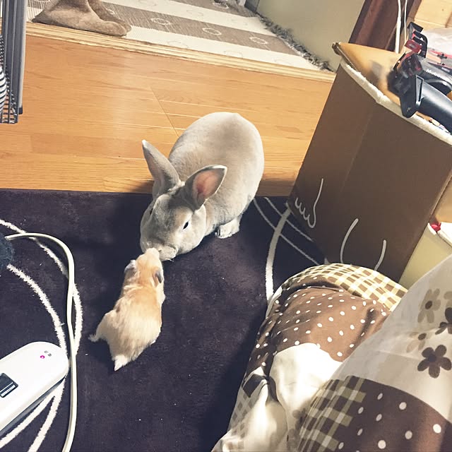 fruity anさんの実例写真