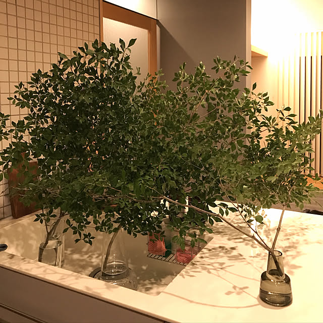 yu3koさんの実例写真
