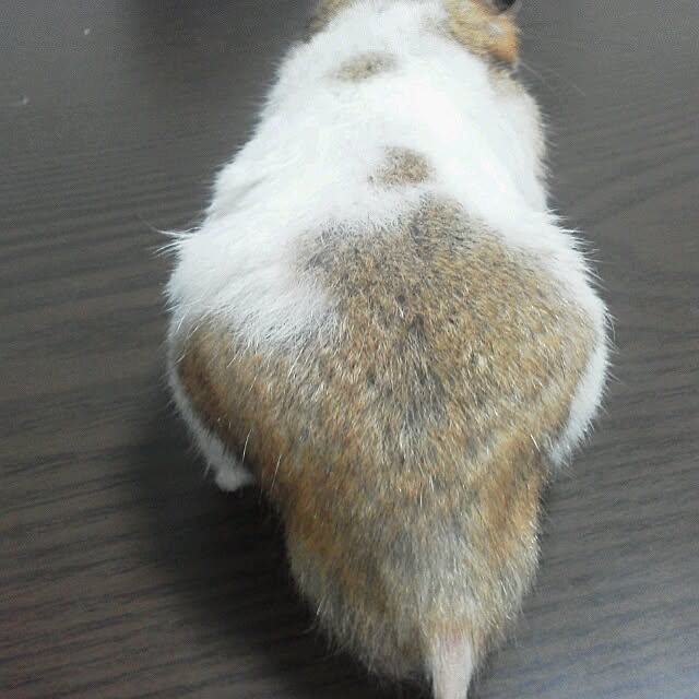 MIKIさんの実例写真