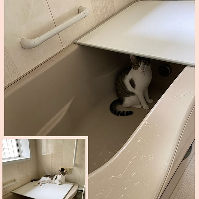 Lufuさんの実例写真
