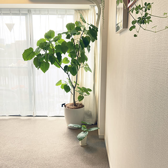 yukakoume092さんの実例写真