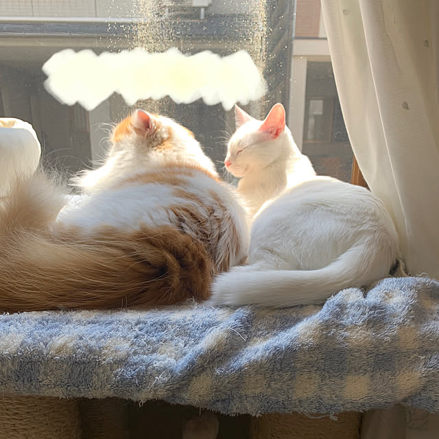 keiさんの実例写真