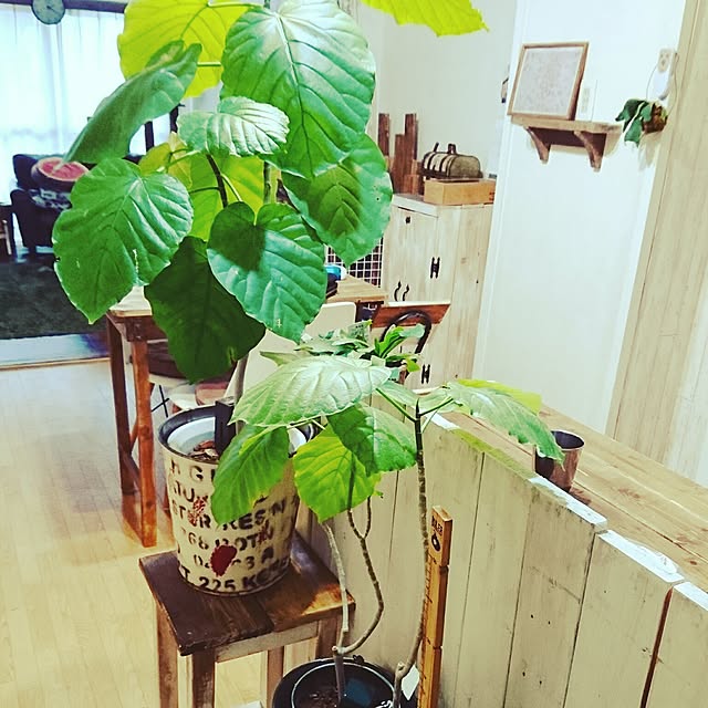 chiさんの実例写真