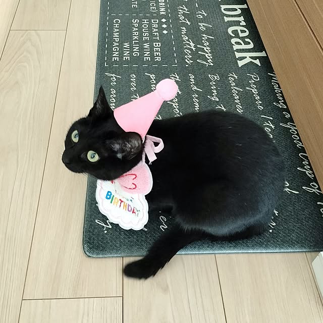 sakuraさんの部屋