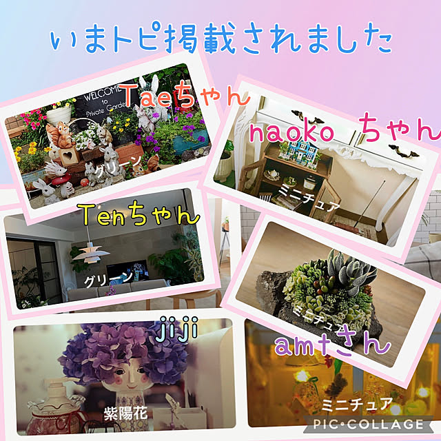 jijiさんの実例写真